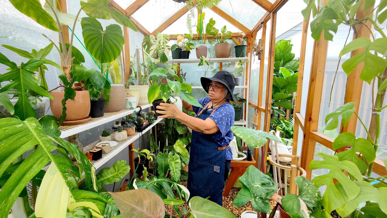 Gardener in her greenhouse