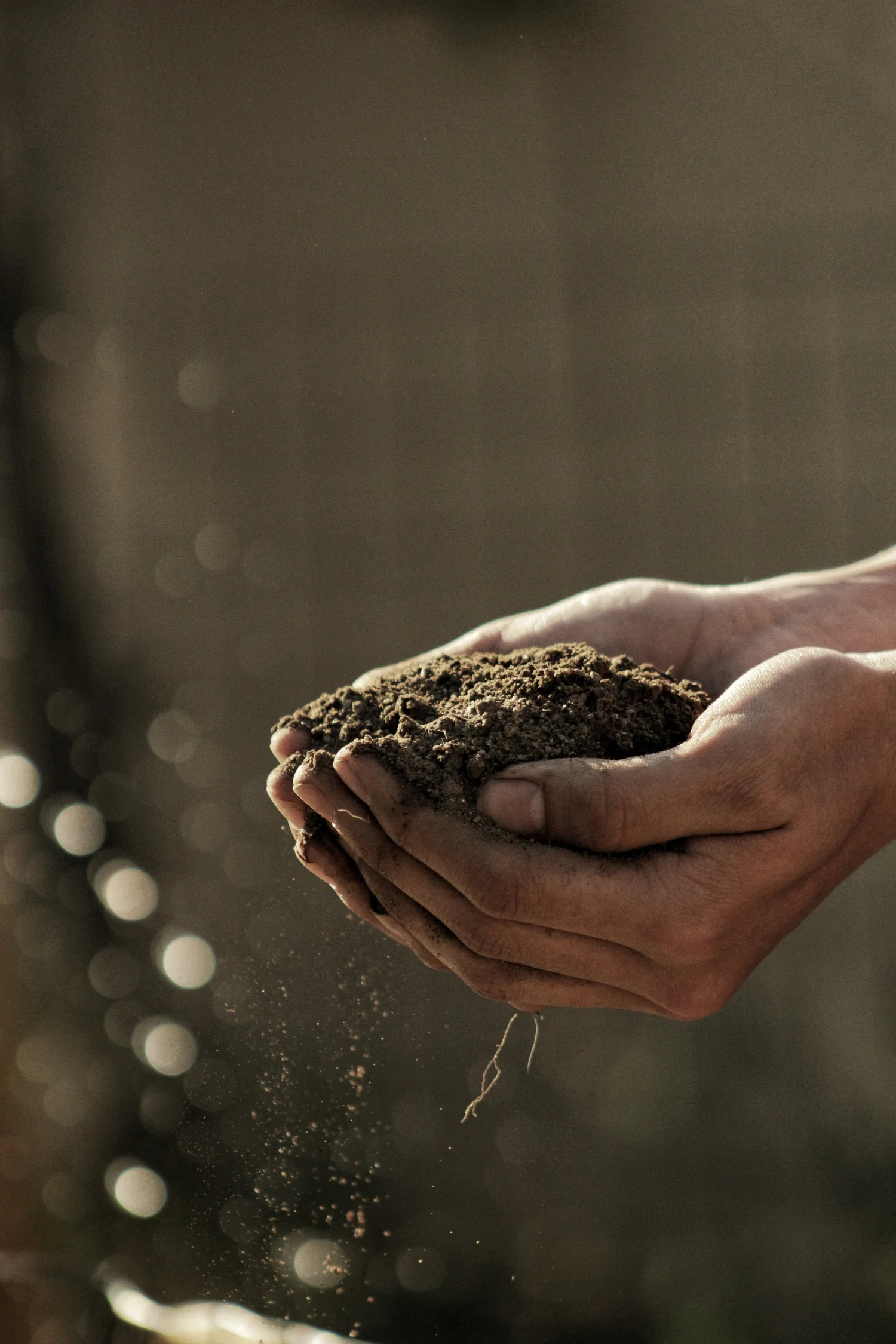 Healthy soil