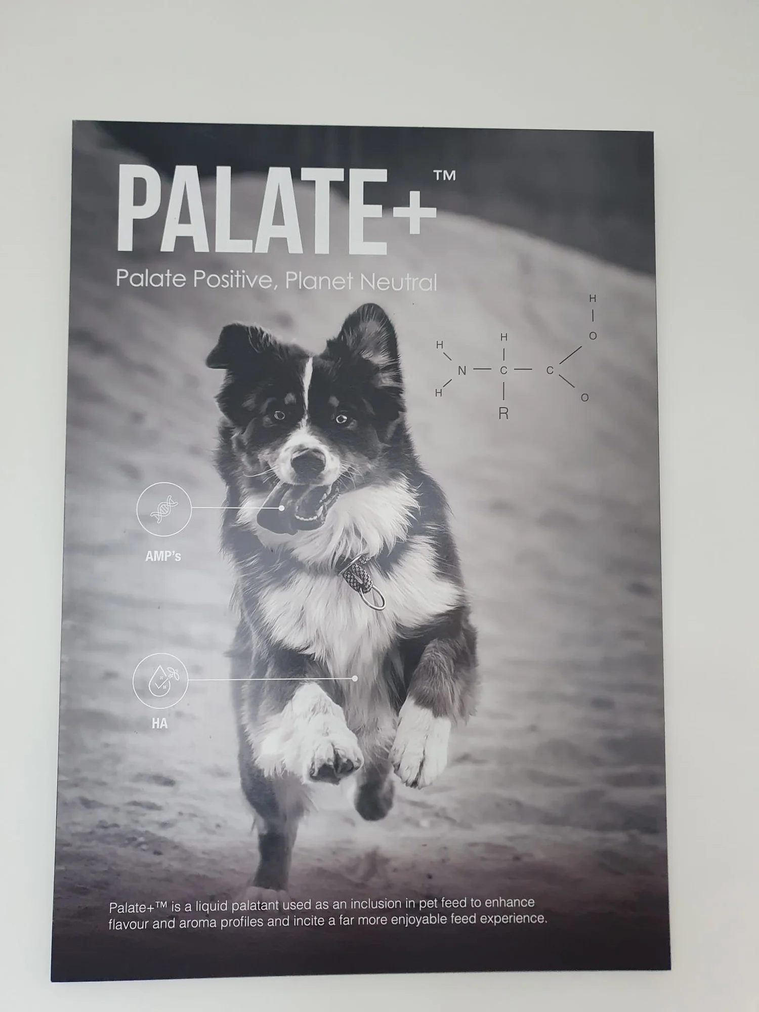 Maltento Palate+