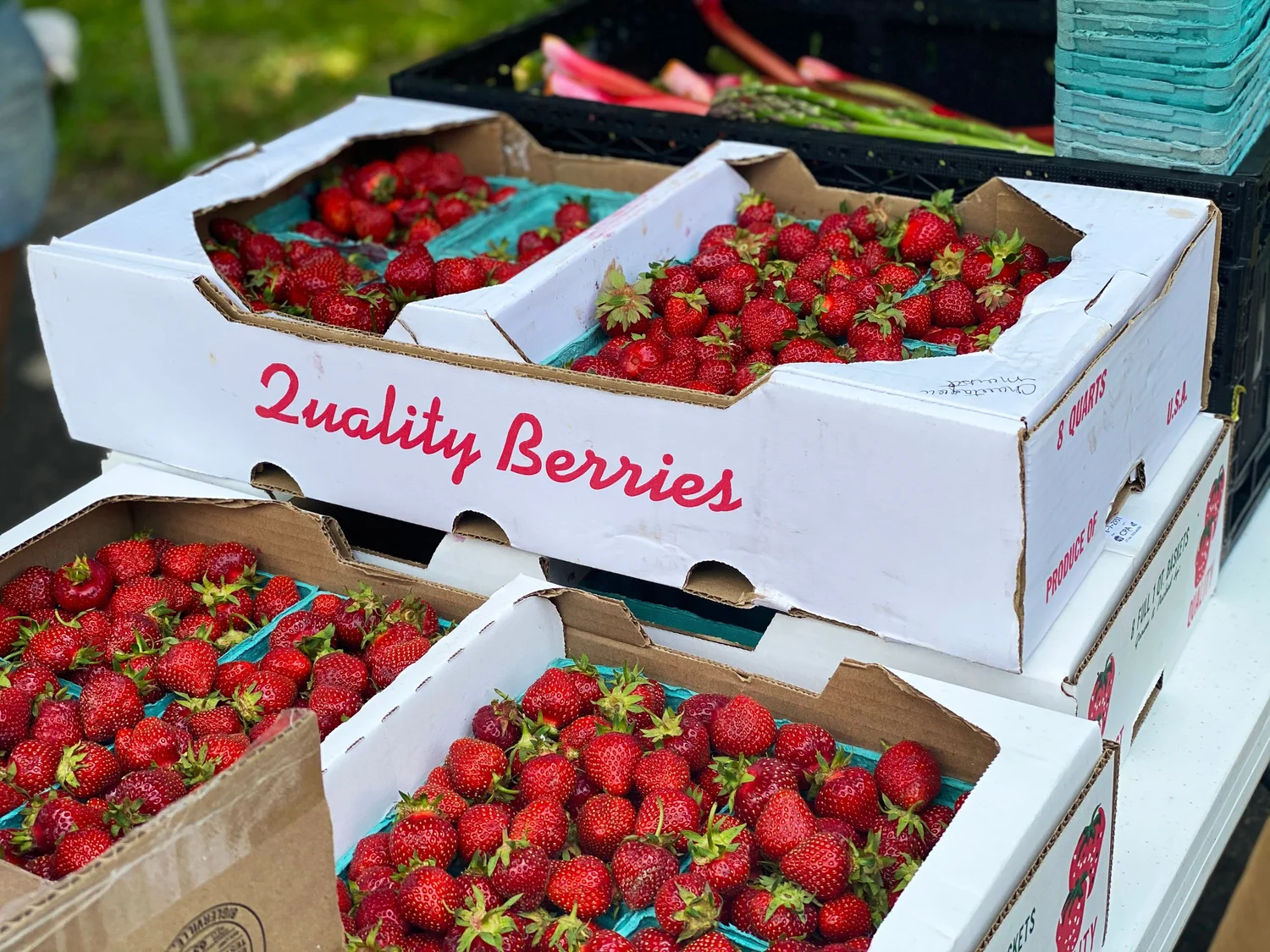Strawberry boxes