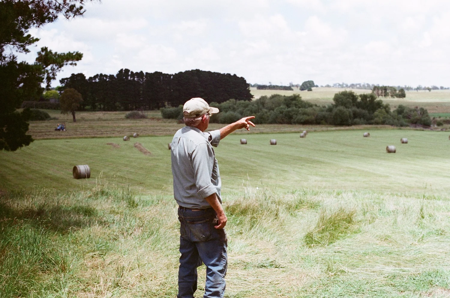 Farmer assessing his harvest